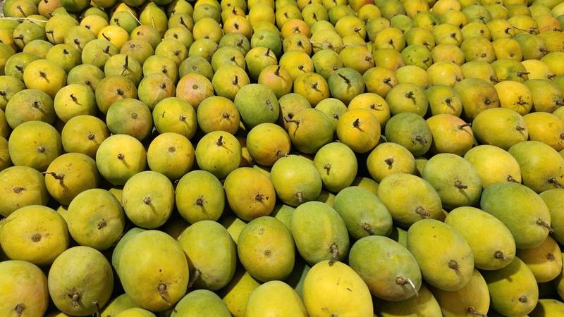 DESI Alphonso Mangoes (Hapus)– PRE‑ORDER NOW! - Image 4
