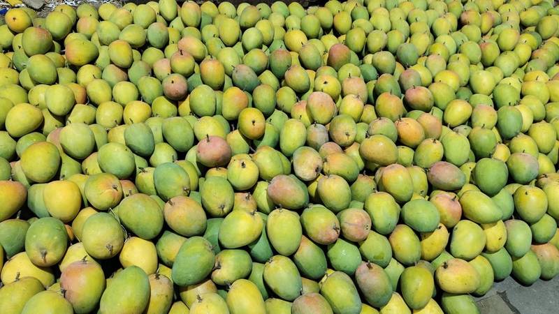 DESI Alphonso Mangoes (Hapus)– PRE‑ORDER NOW! - Image 3