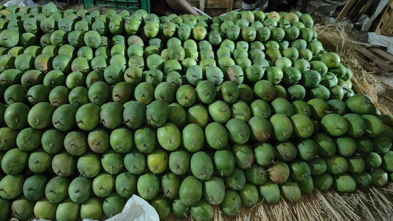 DESI Alphonso Mangoes (Hapus)– PRE‑ORDER NOW! - Image 2